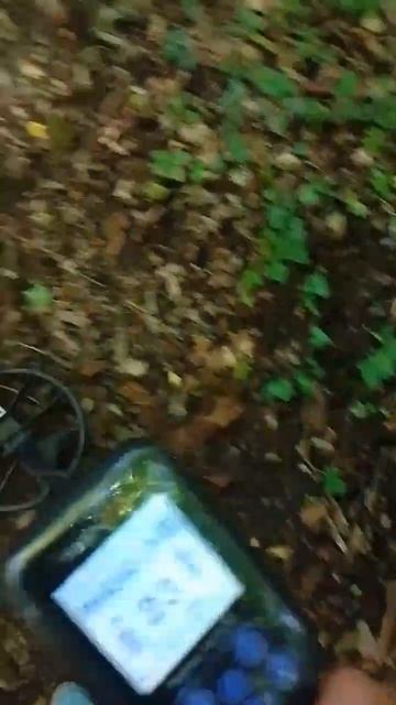 Металлоискатель +simplex nokta makro смотреть онлайн