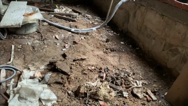 Будущий дом карпа КОИ смотреть онлайн