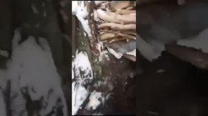 Вечная память братья 🙏 394 полк 🫡🇷🇺🇷🇺🇷🇺 Не отст