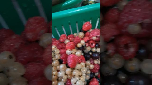 .Витамины будем кушать немногое, что есть смотреть онлайн