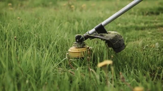 Топовый триммер справится даже с небольшими деревьям? смотреть онлайн