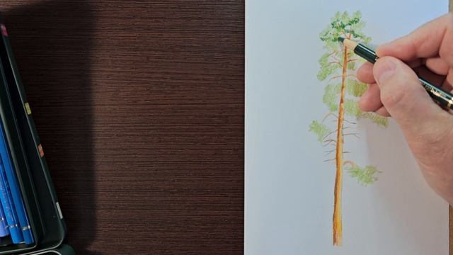 Как рисовать деревья цветными карандашами смотреть онлайн