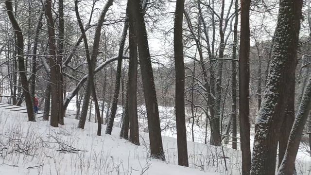 Дорога к беседке «Храм Цереры» в парке Царицыно Москв? смотреть онлайн