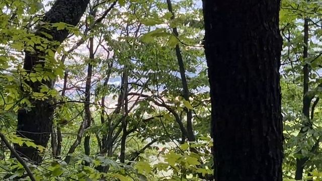 В поисках солнечных зайчиков на Боянском Озере