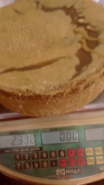 Перетопленный воск #bee #пчеловодство #beekeeper #пасека #beekeeping #пчеловодствовсибири смотреть онлайн