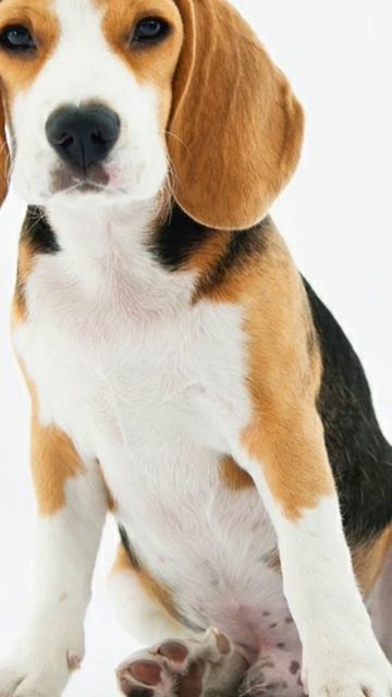 17 лютого 2023 р.