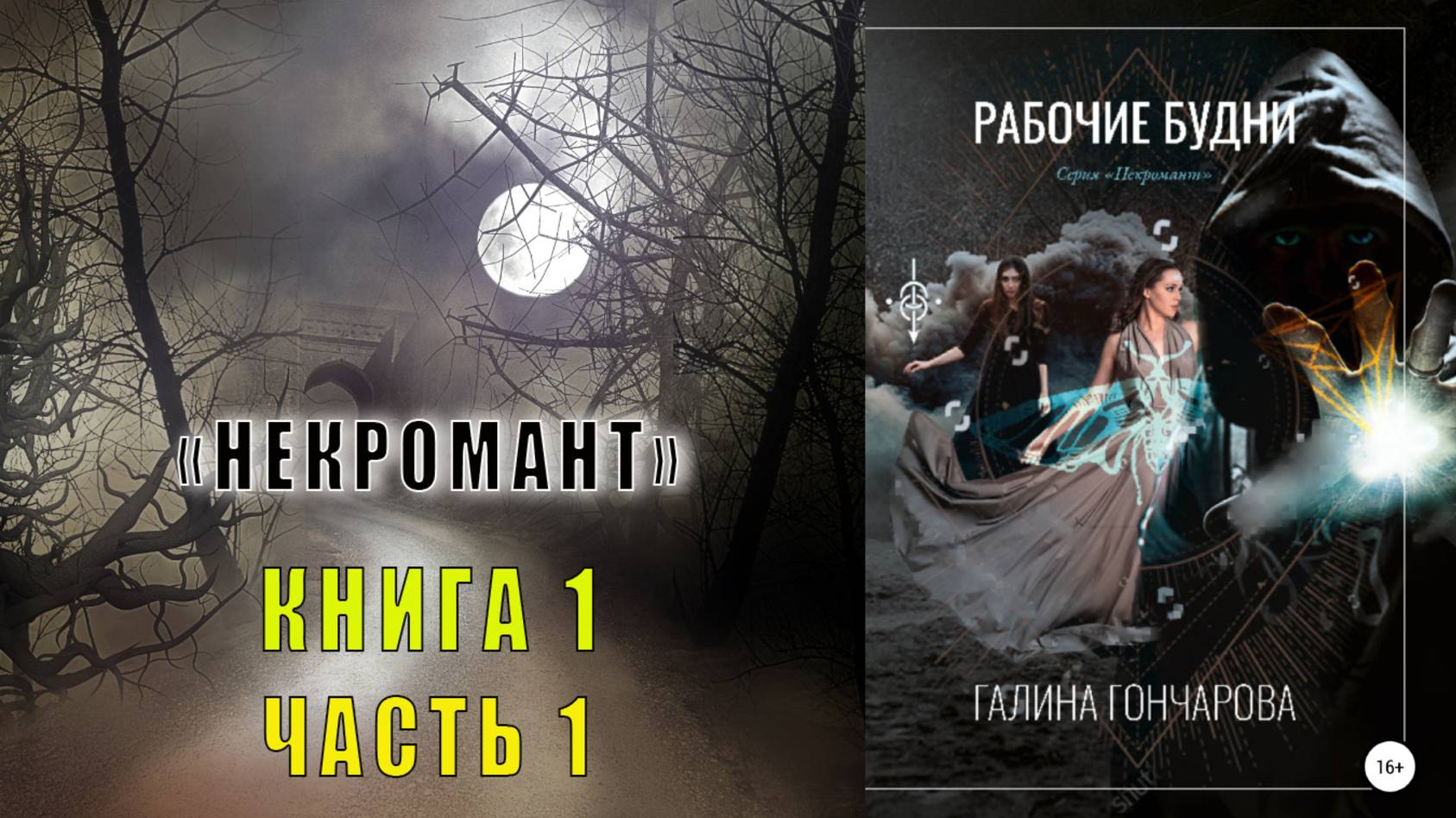 Галина Гончарова "Некромант" (книга 1) "Рабочие будни" (часть 1)