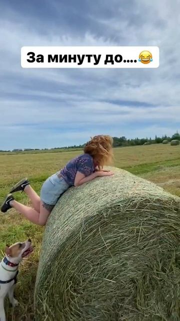 За кадром #shorts #барнхаус смотреть онлайн