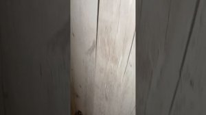 Установка двери на шкаф самому!