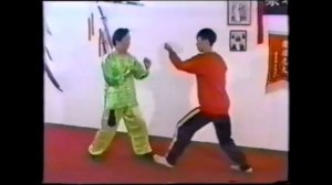 Стиль ДРАКОНА Кунфу - УЧЕБНЫЙ ФИЛЬМ / #2 / KUNG FU DRAGON style - TRAI