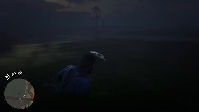 Red Dead Redemption 2_дохлая рыба