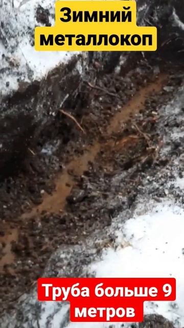 #Metal Detector#металлокоп#metal #ищем чёрный металл.#китайский смотреть онлайн