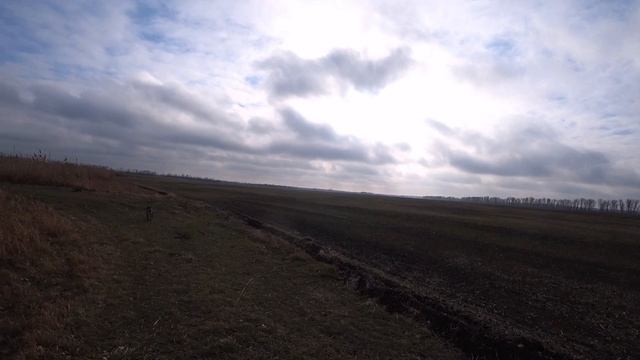 ОХОТА С ПАТРОШЕЙ на зайца. Не каждый день, коту масленица. смотреть онлайн