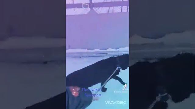 15 февраля 2022 г.