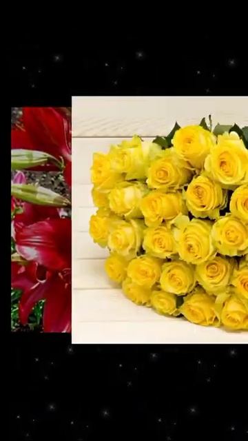 "Я люблю тебя,милая" поет песню Владимир Kazak смотреть онлайн