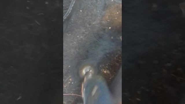 как я убираю грязь с мохнатых ковров авто???? ✌️👽 я ум?