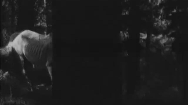 Сын Полка.1946. смотреть онлайн