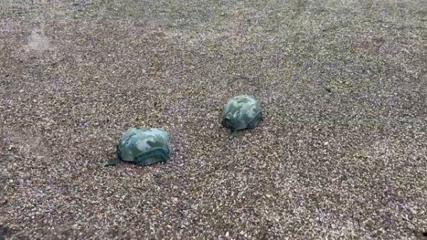 Alkor Tactical провел отстрел популярного полуухого бронешл