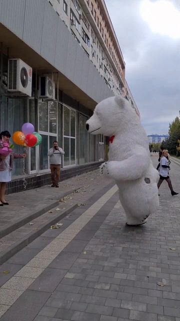 Неожиданно... на рабочем месте... подарок от мужа ❤️ #белыймедведьволжский #гигантскиймедведь #мишк смотреть онлайн