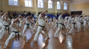 Российский Союз Каратэ Кёкусин Кайкан 18-19 мая 2024 год. У
