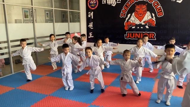 Жәнібек карате желтый пояс смотреть онлайн