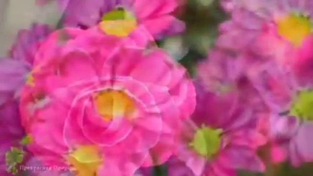 " Два забвения". Виктор Ушатов. смотреть онлайн