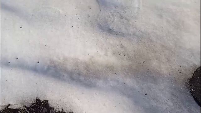 обзор моих огородов после зимы смотреть онлайн