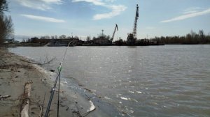 Хороший клев в плохую погоду. Рыбалка на леща в пригороде г.Барнаула 30.04.25