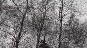 Краматорск Архивное видео 2013 года