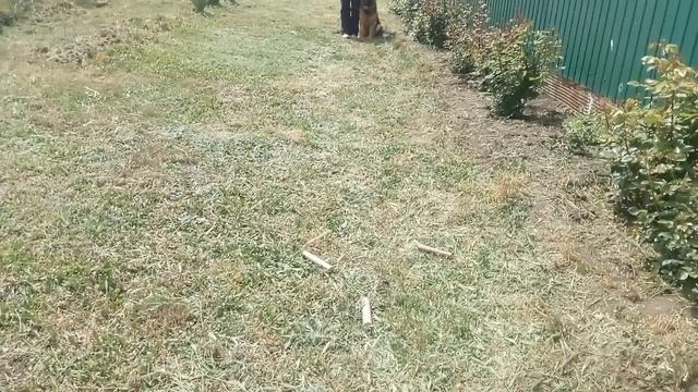 Раш выборка смотреть онлайн