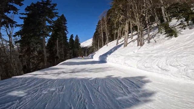 ПАНОРАМА | РОЗА ХУТОР | ЮЖНЫЙ СКЛОН