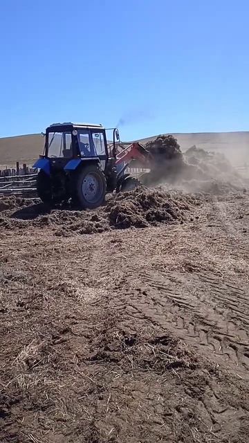 Чистка двора Беларусом.#россия,#трактор,#беларусь,#tractor смотреть онлайн