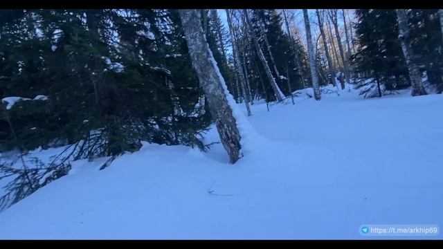 ЛЫЖНЫЙ ПОХОД К ГРАНИЦЕ ЗАКРЫТОГО ЗАПОВЕДНИКА | ТАЕЖНА? смотреть онлайн