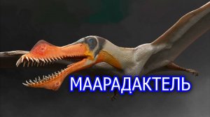Маарадактель. Зубастый птерозавр с чудовищным именем. Видео о летающем ящере