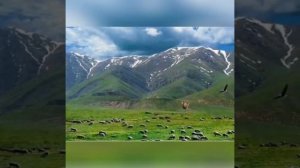 Қазақтың  патриоттық әндері.