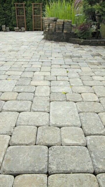 Серый - самый "легкий" цвет!😉 #Аскербий01 #шортс #ютуб смотреть онлайн