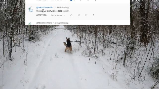 КАК СТРИМ. ФЭТБАЙК ROOK. ВЫБИРАЕМ ЁЛКУ