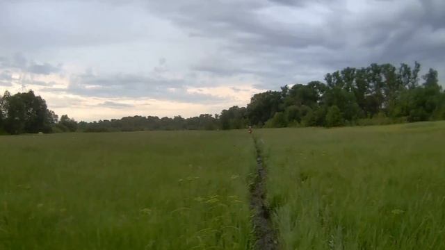 Crazy Owl 50 2024 Воронеж Белый Колодец 50к смотреть онлайн