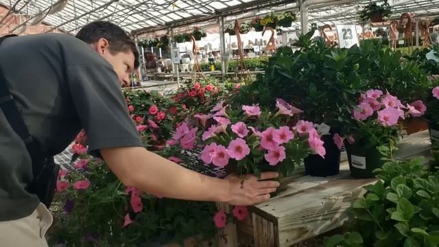 Что покупают американцы для своих дворов и участков. Р смотреть онлайн