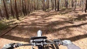 ОБКАТЫВАЕМ ДВЕ PROGASI PALMA 250