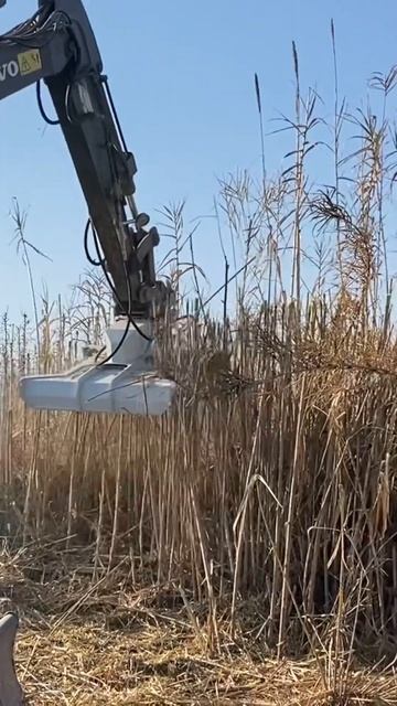 Летающая тарелка на расчистке, двигается от очень мал? смотреть онлайн