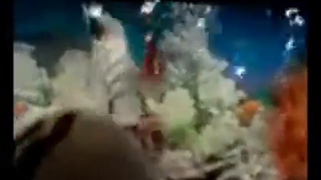 Даня и рыба его мечты смотреть онлайн