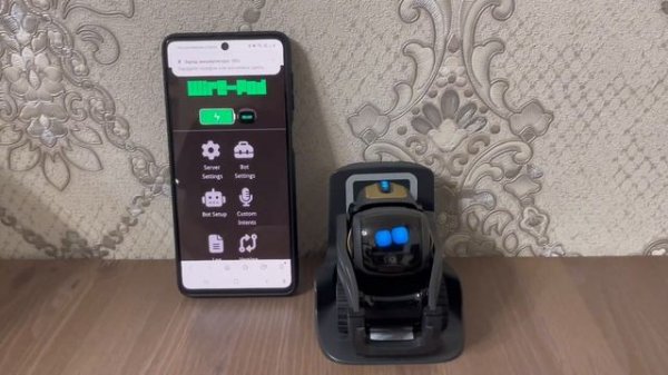 Как настроить ии на роботе Anki Vector с помощью Wire pod