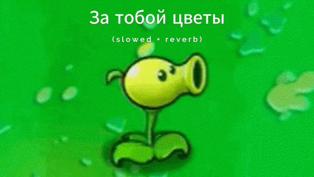 За тобой цветы (slowed + Reverb)