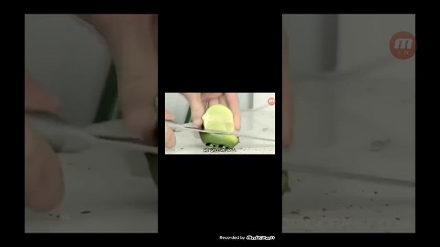 Смешый видео круто все говорят что ????? смотреть онлайн