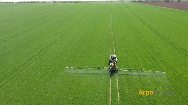 Листно торене на хлебна пшеница смотреть онлайн