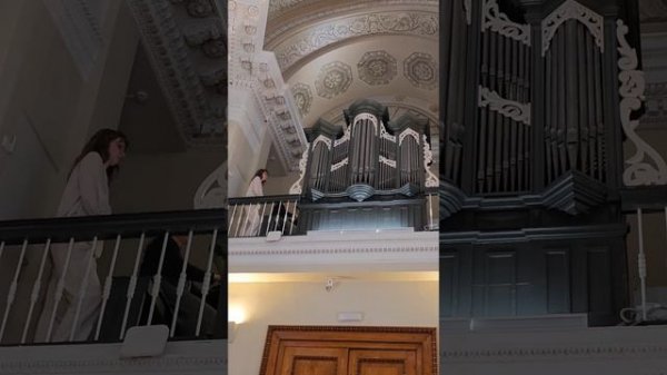 Концерты в Центр искусства и музыки библиотеки Маяковского, Ротонда, Голландская церковь, Невский