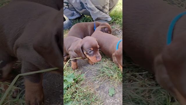 Утро начинается не с кофе) смотреть онлайн