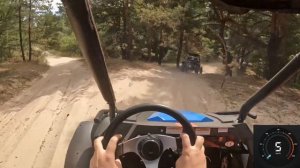 ПОКАТУШКИ НА БАГГИ В КОЛОННЕ ПО ЛЕСУ! ЗАМЕРЯЕМ МАКСИМА