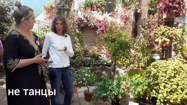 Фестиваль фуксий. Полина Кисилёва и Татьяна Ракутина ?